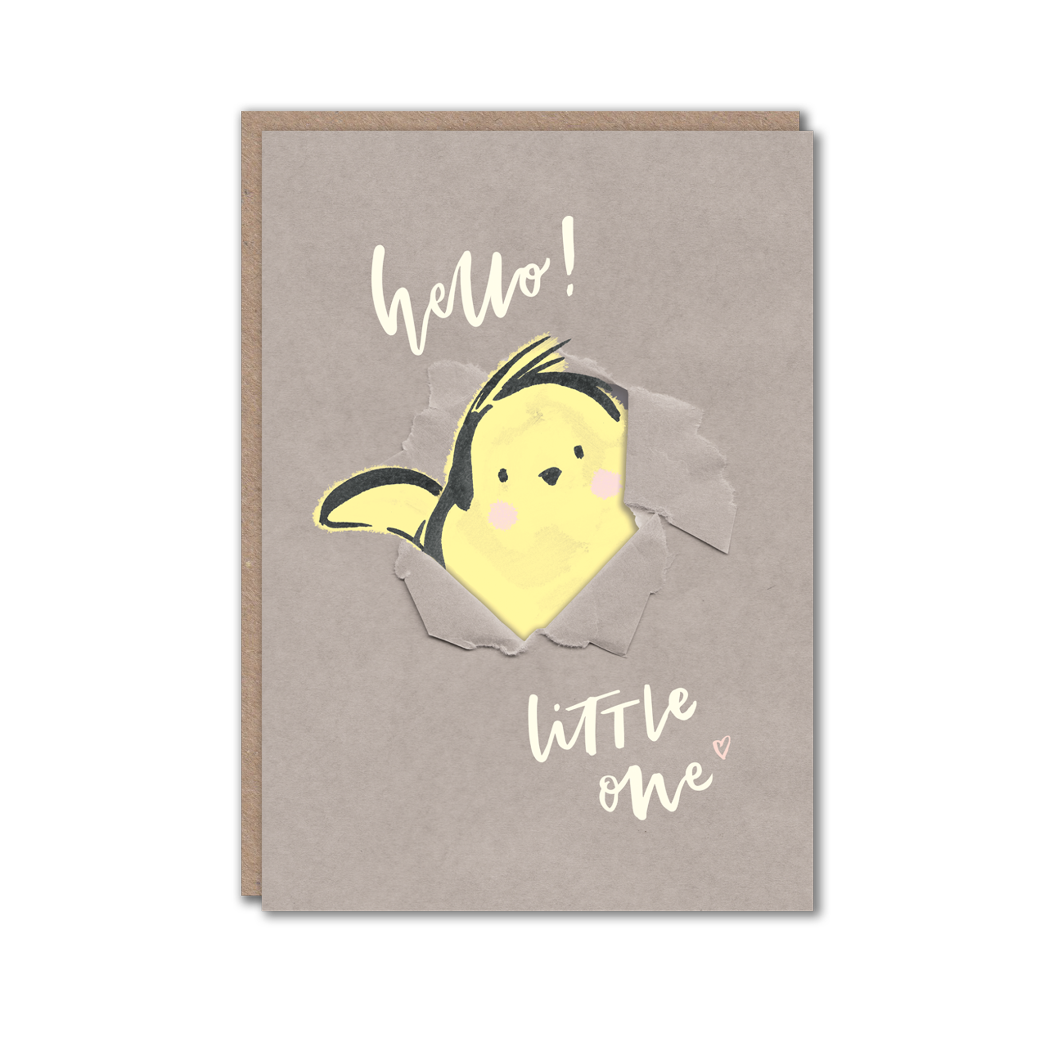 New baby greeting card with cute chick